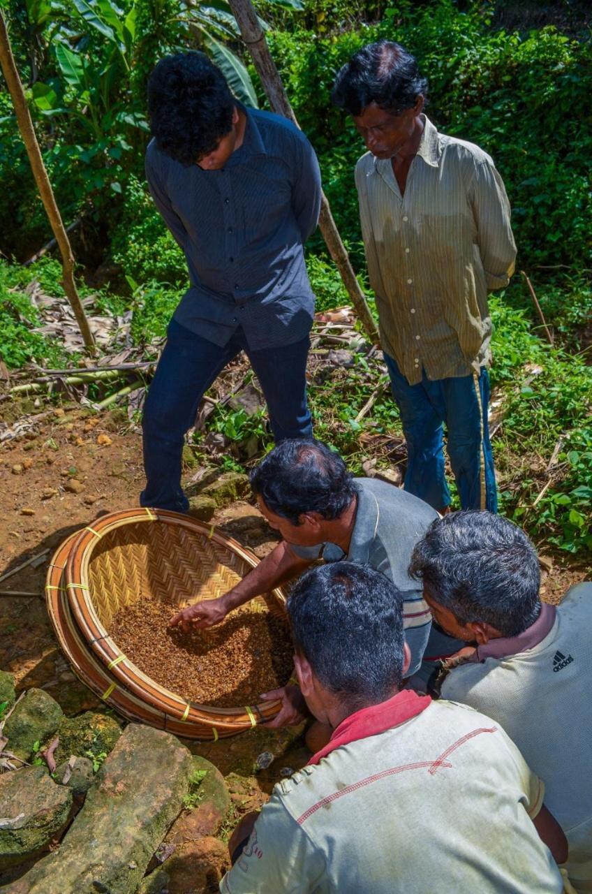 Hotel Travellers Halt à Ratnapura Extérieur photo